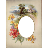 ФЛОКСЫ