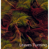 БАРХАТ ИЗ НАТУРАЛЬНОГО ШЕЛКА Leaves