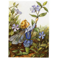 Принт Periwinkle
