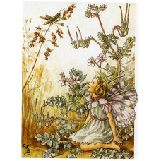 Принт Storks-Bill Fairy