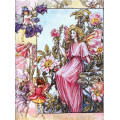 Принт Wild Rose Fairy