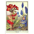 ПРИНТ POLYANTHUS AND GRAPE HYACINTH FLOWERS FAIRY