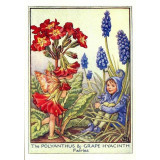 ПРИНТ POLYANTHUS AND GRAPE HYACINTH FLOWERS FAIRY