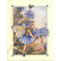 ПРИНТ CHICORY FAIRY