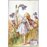 ПРИНТ HEREBELL FAIRY