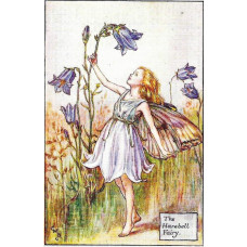 ПРИНТ HEREBELL FAIRY