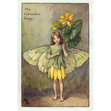 ПРИНТ CELANDINE FLOWERS FAIRY
