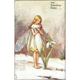 ПРИНТ SNOWDROP FAIRY