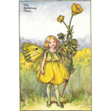 ПРИНТ BUTTERCUP FEIRY