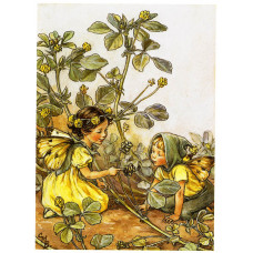Принт Black Medick Fairies