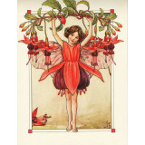 Принт Fuchsia Fairy
