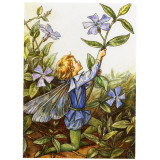 Принт Periwinkle