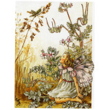 Принт Storks-Bill Fairy