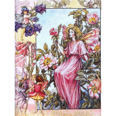 Принт Wild Rose Fairy