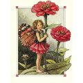 Принт Zinnia Fairy