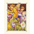 ПРИНТ CROCUS FAIRY