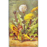 ПРИНТ DANDELION FAIRY