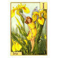 ПРИНТ IRIS FLOWER FAIRY