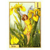 ПРИНТ IRIS FLOWER FAIRY