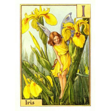 ПРИНТ IRIS FLOWER FAIRY