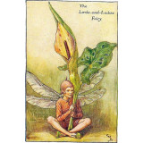 ПРИНТ LORDS-AND-LADIES FAIRY