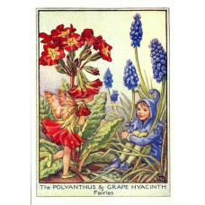 ПРИНТ POLYANTHUS AND GRAPE HYACINTH FLOWERS FAIRY