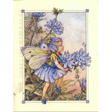 ПРИНТ CHICORY FAIRY