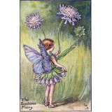 ПРИНТ SCABIOUS FAIRY